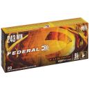 Munitions FEDERAL cal.243 win fusion 95gr 6.15g par 20