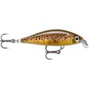 Leurre semi plongeant RAPALA x light minnow marron truite 5cm