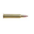 Munitions RWS cal.5.6x50 magnum tms 4.1g 63gr par 20